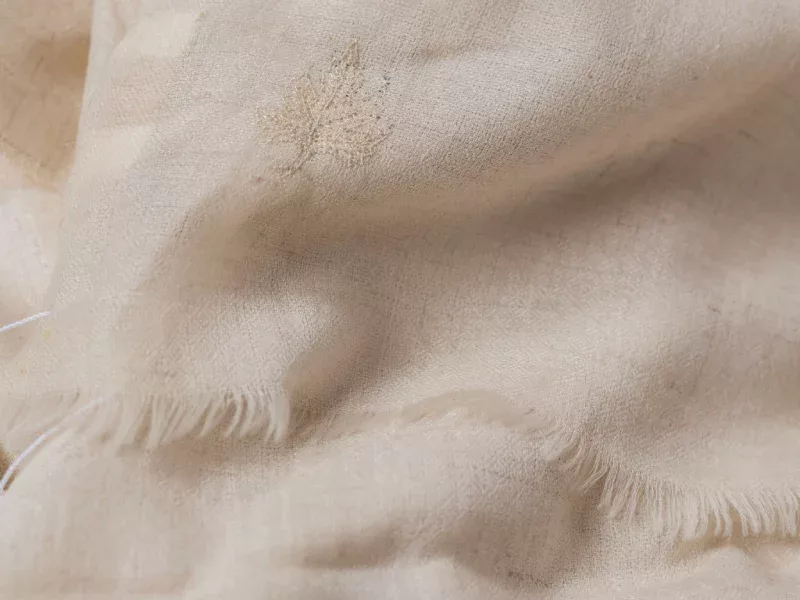 https://svarna.com/wp-content/uploads/2022/09/our-textiles-pashmina.webp