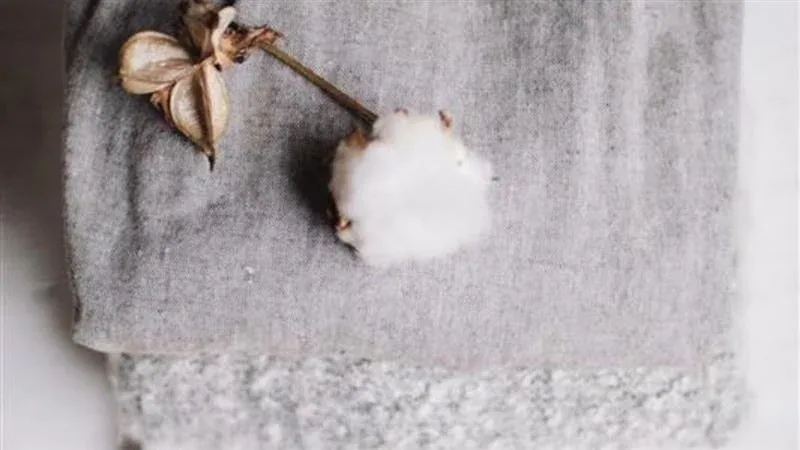 organic cotton woven